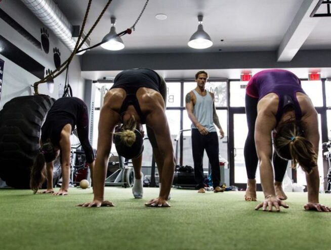 animal flow workout classes near me