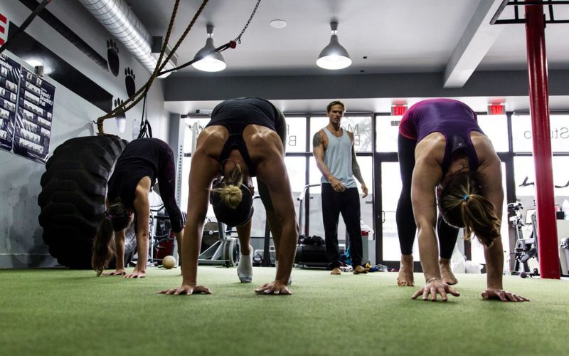 animal flow workout classes near me